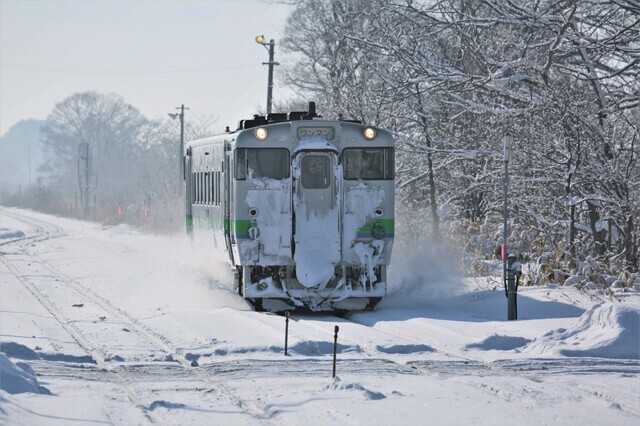 コレモは寒冷地じゃないと使えないの?