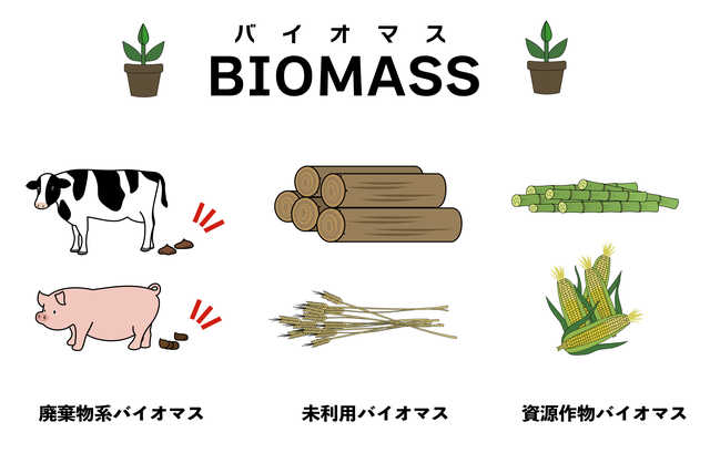 バイオマスの種類