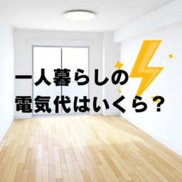 一人暮らしの電気代は平均〇〇円！料金プランを見直す方法・消費電力を節約する方法を紹介します