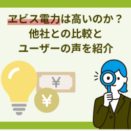ヱビス電力の料金プランは高いのか？他社との比較とユーザーの声を紹介