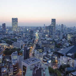 日本のエネルギー政策におけるプロパンガス（LPガス）の評価と方針