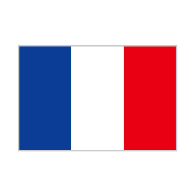 フランスの電力自由化の状況を解説します。