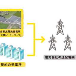 鹿児島の新電力「ナンワエナジー」の特徴と電気料金プランとは