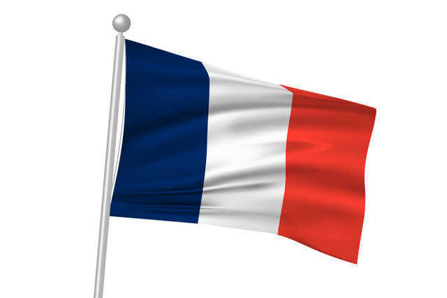 海外のガス自由化、フランスの事例